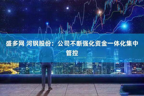 盛多网 河钢股份：公司不断强化资金一体化集中管控