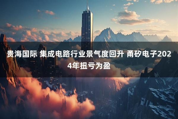 贵海国际 集成电路行业景气度回升 甬矽电子2024年扭亏为盈