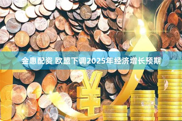 金惠配资 欧盟下调2025年经济增长预期