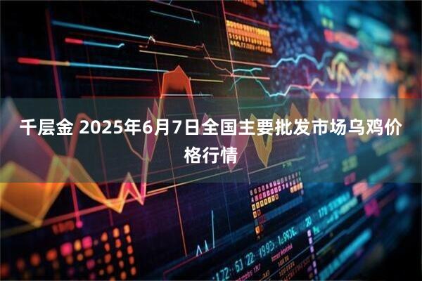 千层金 2025年6月7日全国主要批发市场乌鸡价格行情