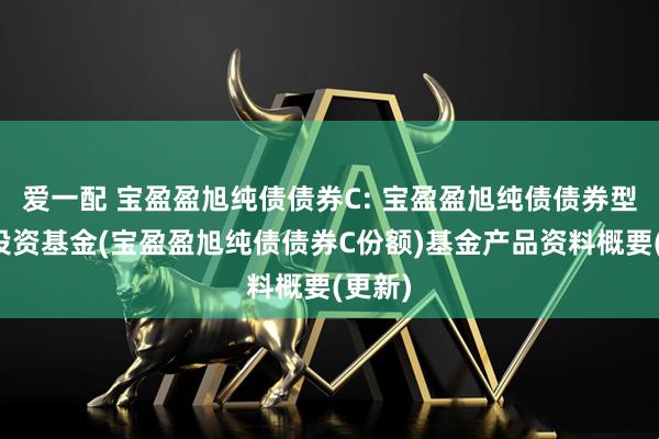 爱一配 宝盈盈旭纯债债券C: 宝盈盈旭纯债债券型证券投资基金(宝盈盈旭纯债债券C份额)基金产品资料概要(更新)
