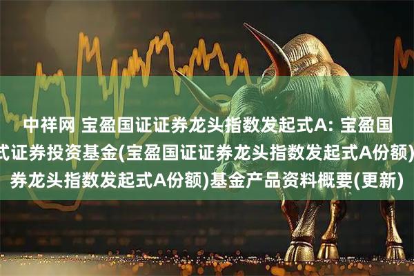中祥网 宝盈国证证券龙头指数发起式A: 宝盈国证证券龙头指数型发起式证券投资基金(宝盈国证证券龙头指数发起式A份额)基金产品资料概要(更新)
