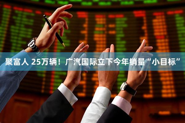聚富人 25万辆！广汽国际立下今年销量“小目标”