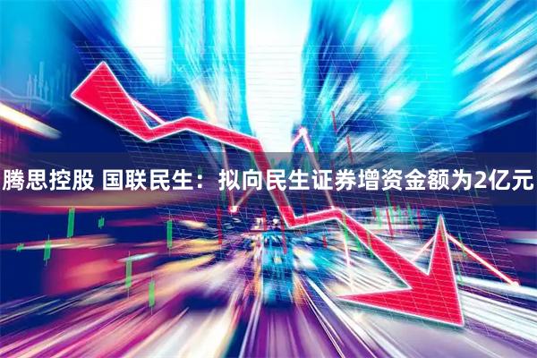 腾思控股 国联民生：拟向民生证券增资金额为2亿元