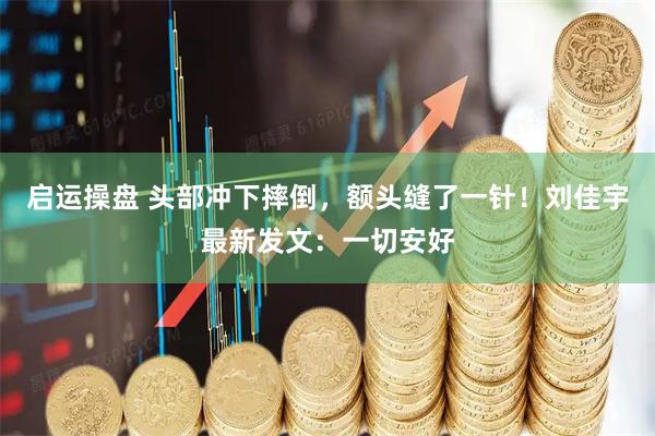 启运操盘 头部冲下摔倒，额头缝了一针！刘佳宇最新发文：一切安好