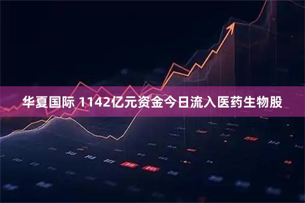 华夏国际 1142亿元资金今日流入医药生物股