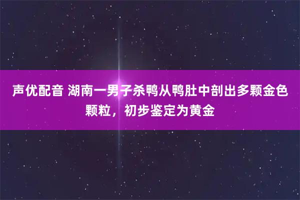 声优配音 湖南一男子杀鸭从鸭肚中剖出多颗金色颗粒，初步鉴定为黄金